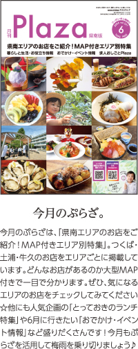 最新号